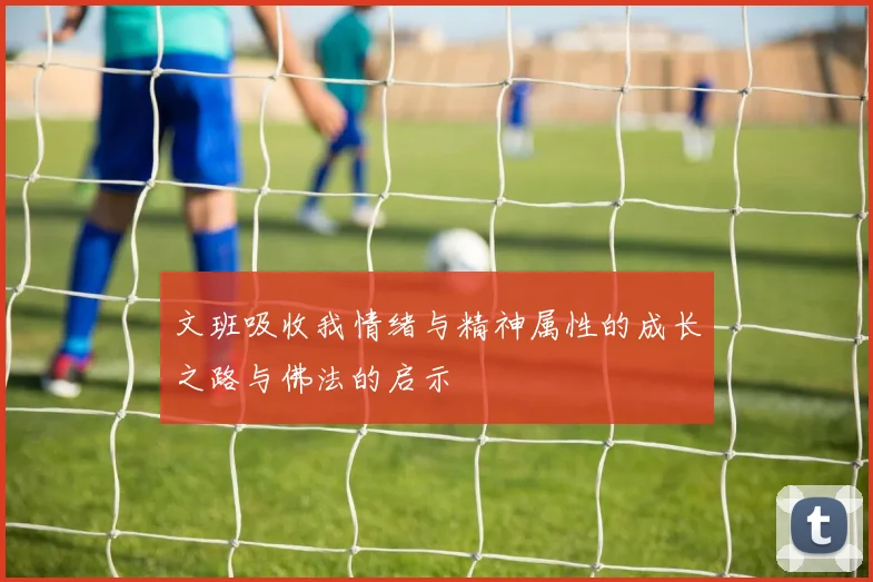 文班吸收我情绪与精神属性的成长之路与佛法的启示