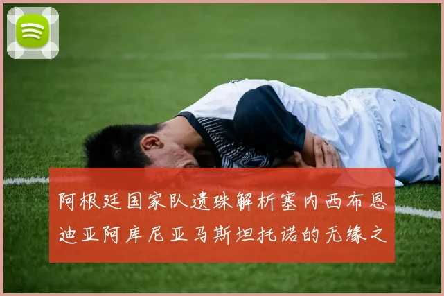 阿根廷国家队遗珠解析塞内西布恩迪亚阿库尼亚马斯坦托诺的无缘之路